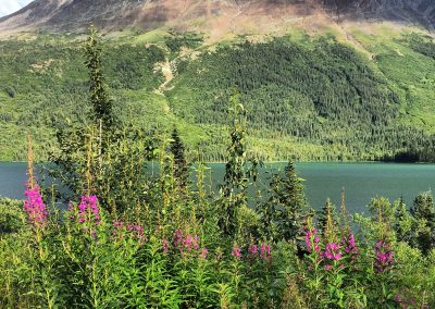Skagway Alaska Private Tours
